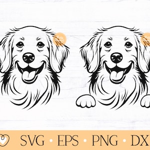 Peeking Golden Retriever svg, Golden Retriever with tongue out, Goldie svg, Dog Face svg, png