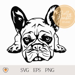 Französische Bulldogge #2 svg, Frenchie svg, Hund svg, svg Dateien für cricut, png