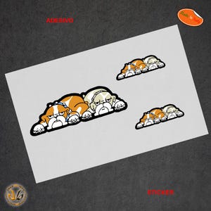 Adesivi tribu dei chihuahua cani moto casco sticker The doctor dog helmet decal tuning 3 PZ.