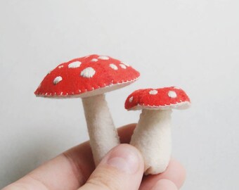 mushroom teddy