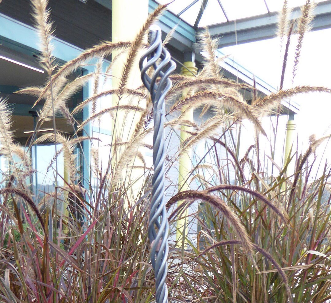 Tendril Rod, Trellis, Plant Rod, Plant Rod, Flower Decoration, Flower ...