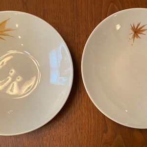 Iroquois China Ben Seibel Informal Harvest Time Soup or Salad Bowls Pair MCM