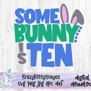 Irgendein Hase ist zehn, 10 Jahre alt, 10.Geburtstagsgeschenk Schnittdatei, Ostern Cricut Datei, Ostern Geburtstag, Geburtstagskind, Geburtstagskind, png dxf