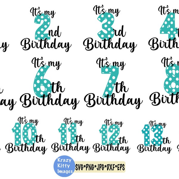 birthday svg bundle, 1st birthday, 2nd birthday, 3rd, 4th, 5th, 6th, 7th, 8th, 9th, 10th, 11th, 12, 13th, 14th birthday svg, png, dxf, jpg