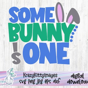 algum coelho é um svg, primeiro aniversário de menino svg, arquivo de corte svg de aniversário de páscoa cricut, primeiro aniversário de meninas svg, primeiro aniversário de bebês, páscoa