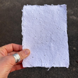1 x Sheet Natural Handmade Deckle Edge Paper with Basil Seed, 18cm x 13.5cm