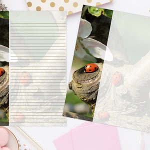 Lady Bugs Printable Stationery 8.5x11 928/Printable Note Paper/Digital Paper/Printable Envelope/Printable Stationery/Printable Notes