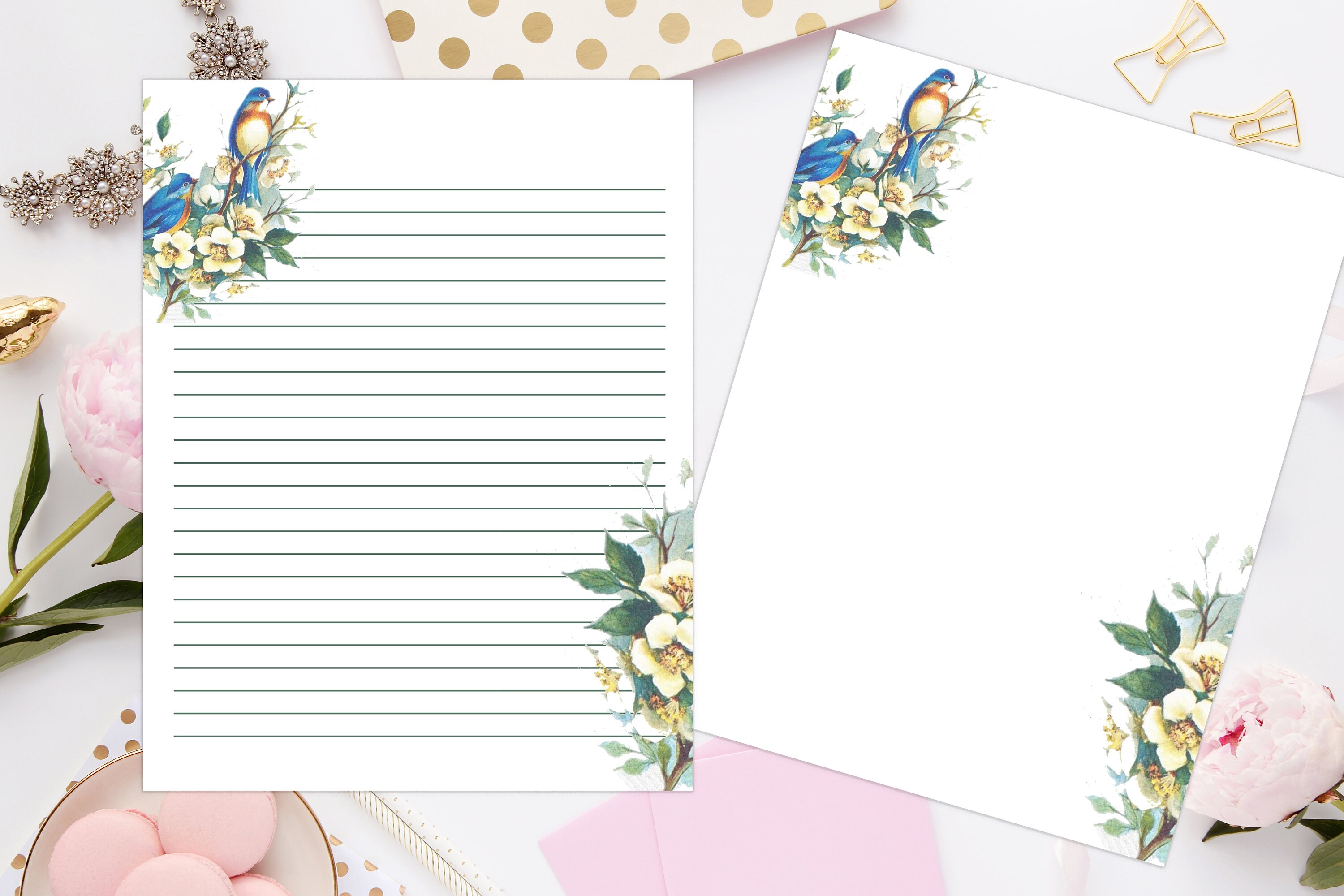 Bird Illustration Printable Stationery 8.5x11 904/digital - Etsy