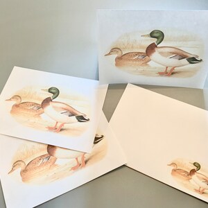 5x7 Zwei Enten druckbare flache Notizkarten & Zeltkarte mit Umschlag 1595/Sofort Download/druckbare Grußkarte/Briefpapier Set