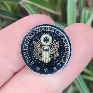 United States of America vintage enamel lapel pin badge.