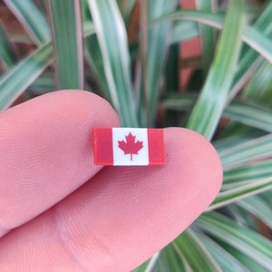 Canadian flag plastic vintage lapel pin badge.