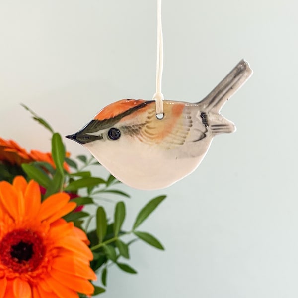 Baby Firecrest