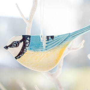 Blue Tit