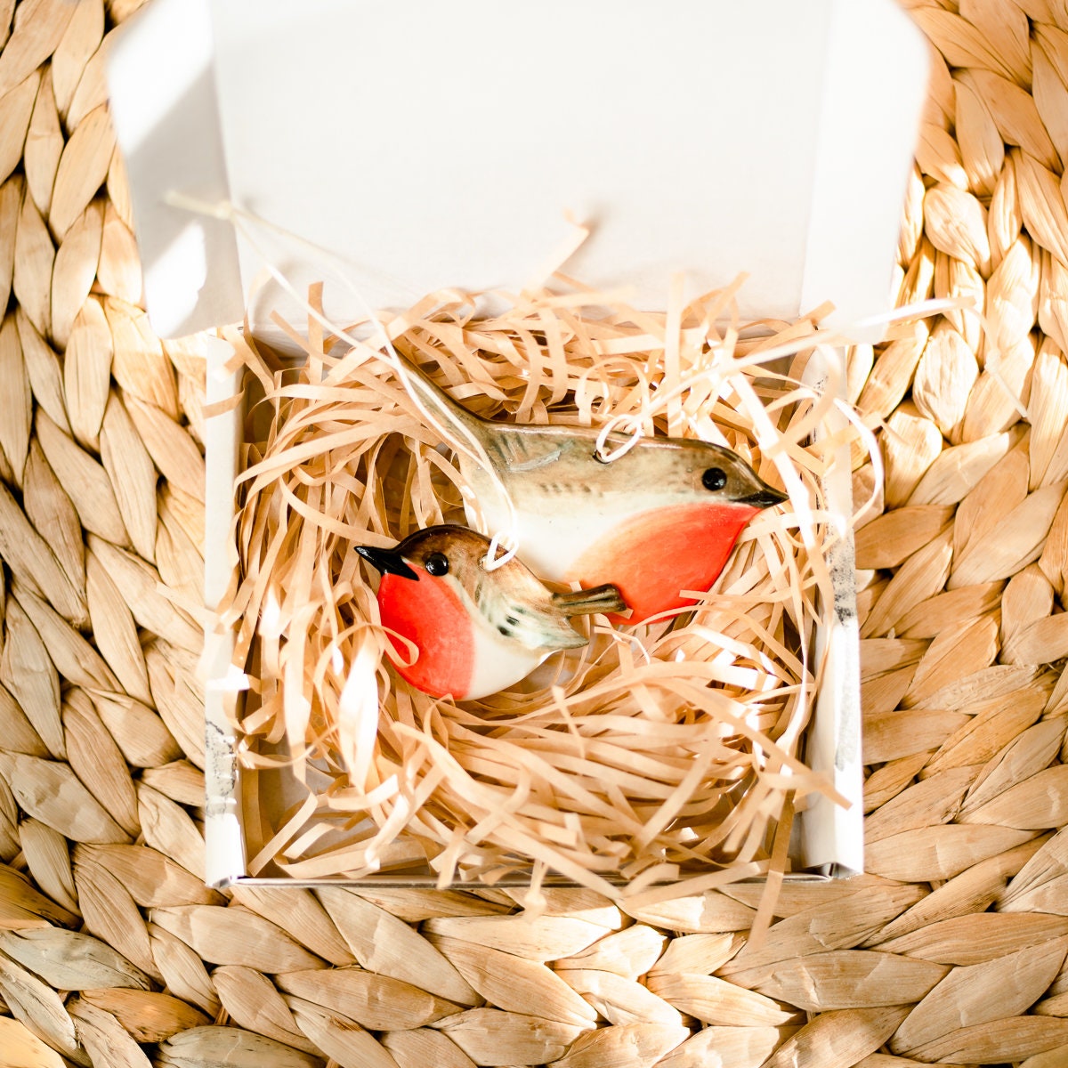 Mother & Baby Robin Set