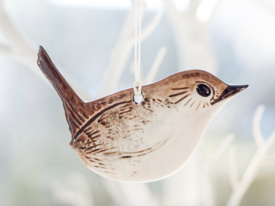 Jenny Wren
