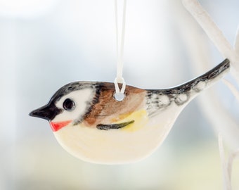 Baby Goldfinch