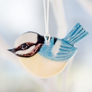 Baby Blue Tit