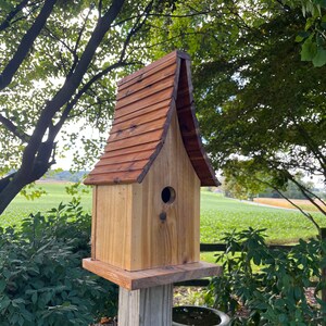 Beautiful Cedar Birdhouse with Wood Shingled Roof Varnished Garden Décor F0008 image 3