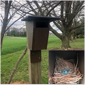 Sparrow Resistant Blue Bird Box | Durable Poly Lumber | Amish Made | E102