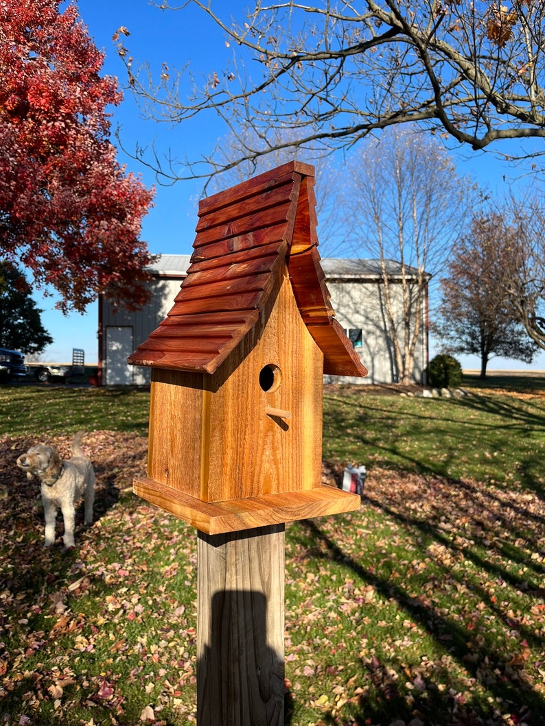 Beautiful Cedar Birdhouse with Wood Shingled Roof Varnished Garden Décor F0008 image 1