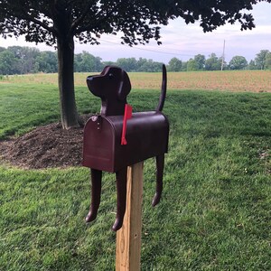 Puede incluir: Un buz&oacute;n de color marr&oacute;n con forma de perro con una bandera roja en un poste de madera. El buz&oacute;n est&aacute; de pie en un campo de hierba.