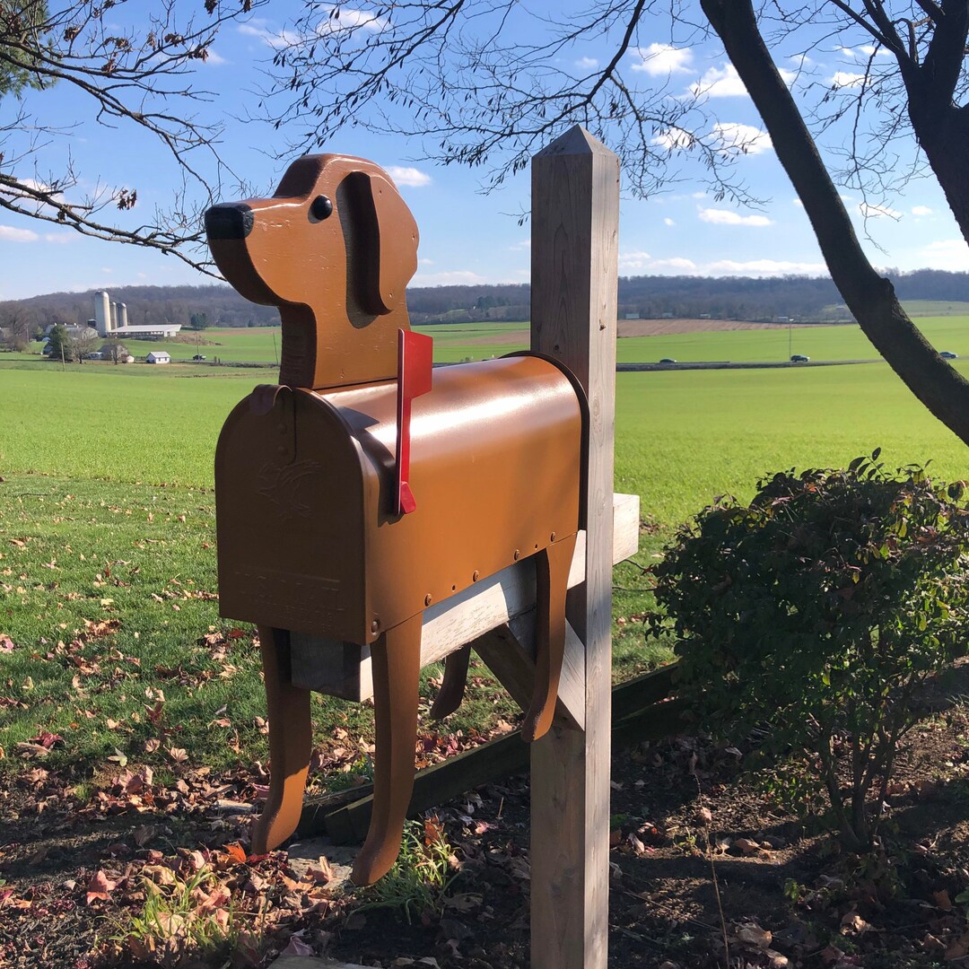 Labrador Retriever Mailbox Lab Unique Dog Mailbox Pp003 Etsy