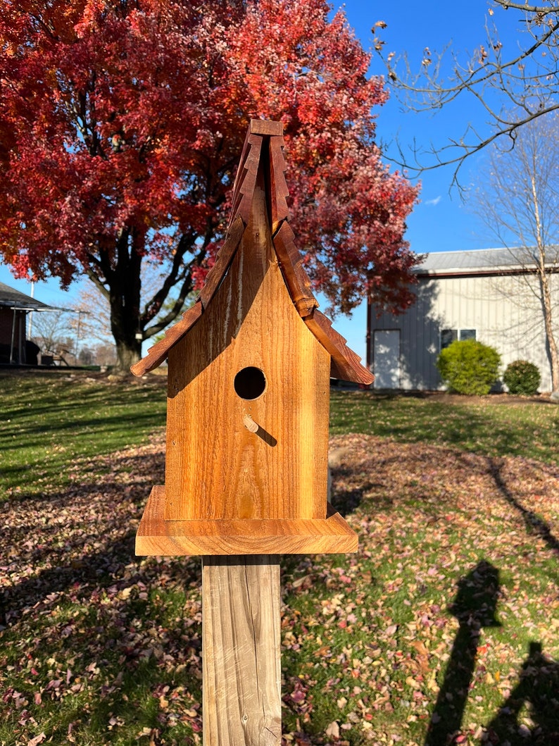 Beautiful Cedar Birdhouse with Wood Shingled Roof Varnished Garden Décor F0008 image 9