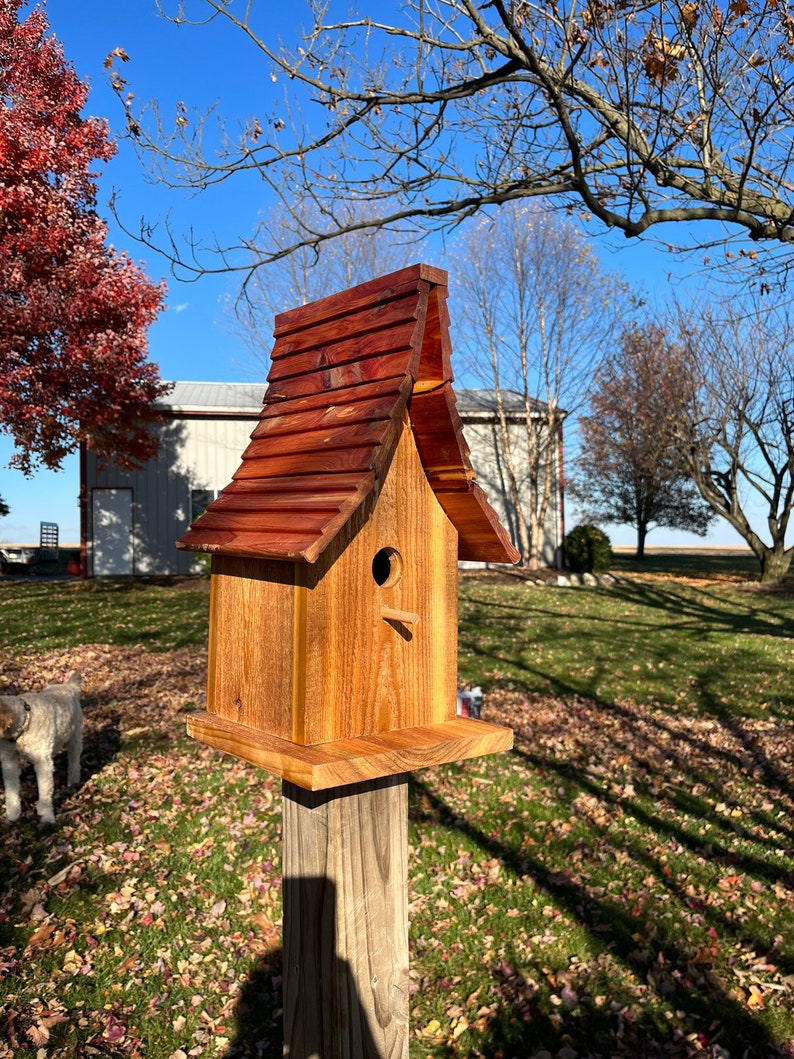 Beautiful Cedar Birdhouse with Wood Shingled Roof Varnished Garden Décor F0008 image 10