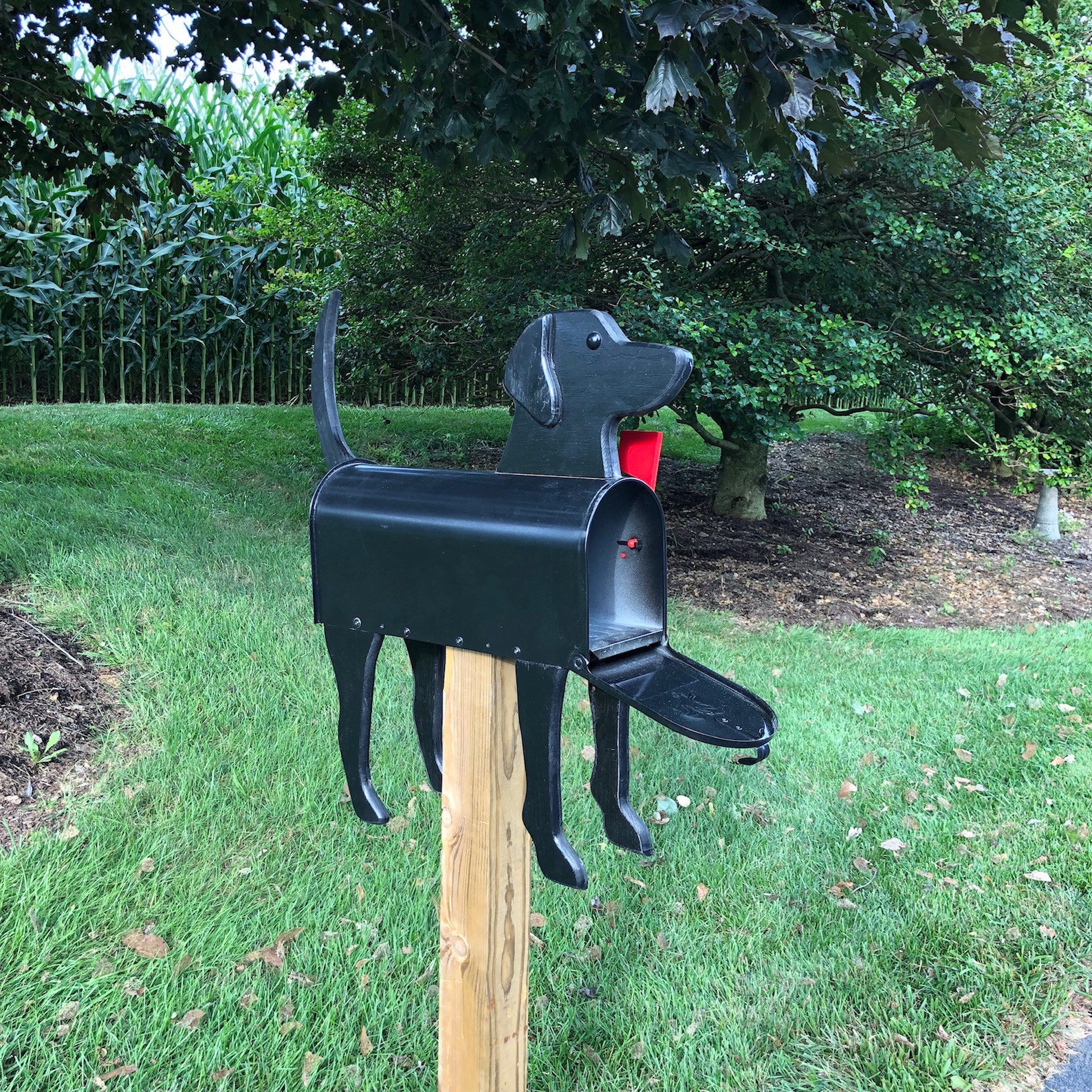 Labrador Retriever | Unique Dog Mailbox | PP003 - Black