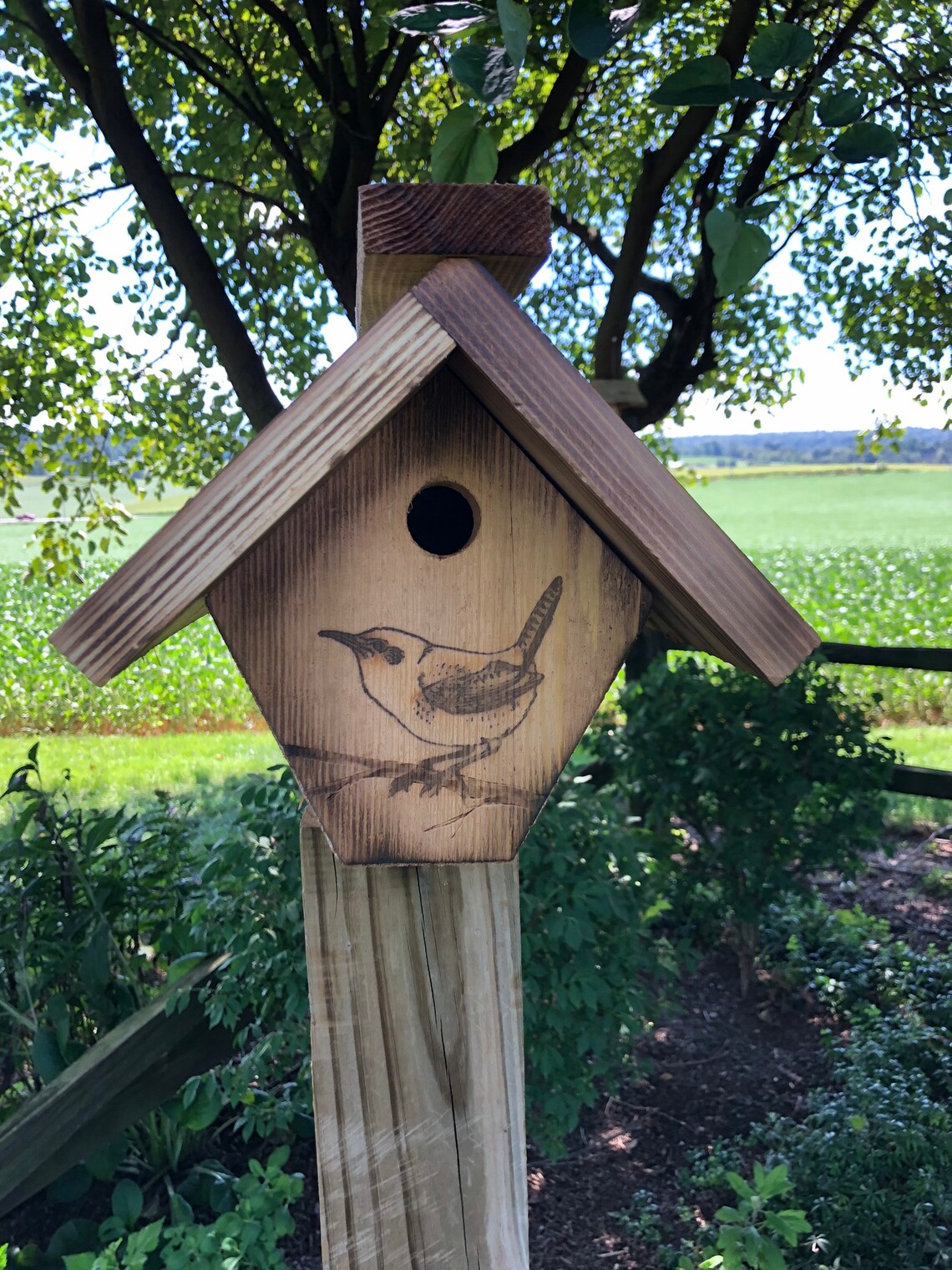 Wren House with Wren Design Ready to Mount on Post Simple Etsy