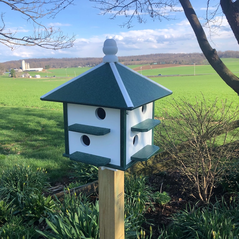View of Large Bird House - Etsy