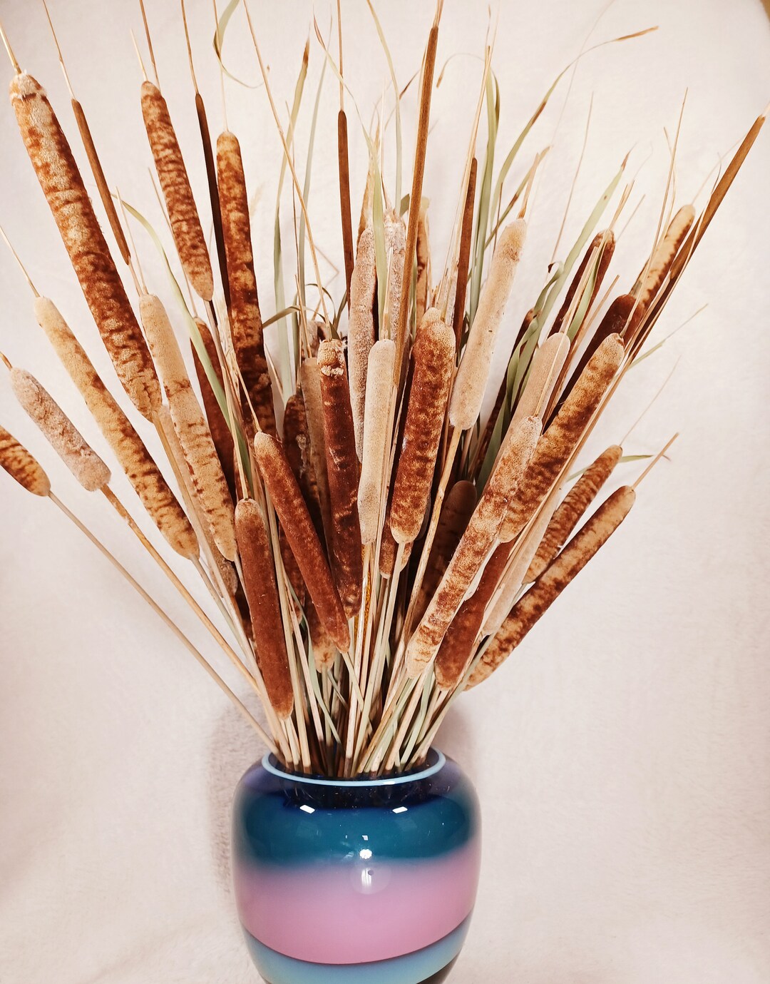 Natural Dried Cattails/bicolor Animal Print Cattails/blonde Etsy