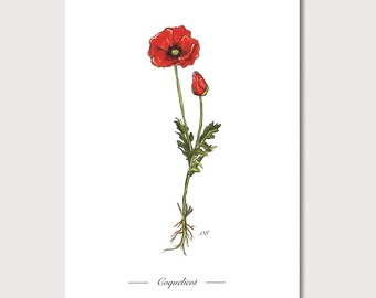 Poster Coquelicot Etsy Poster Coquelicot Etsy