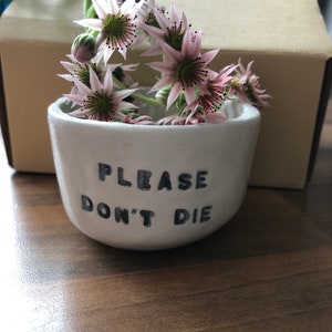 Personalised add your own words plant pot succulent grandad dad daddy mum mummy nan nanny sister friend aunty teacher brother