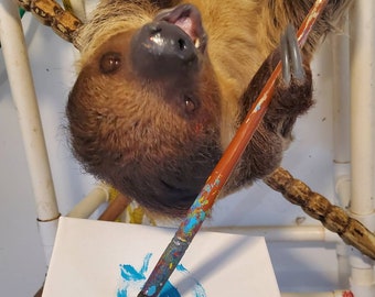 Sloth paintings