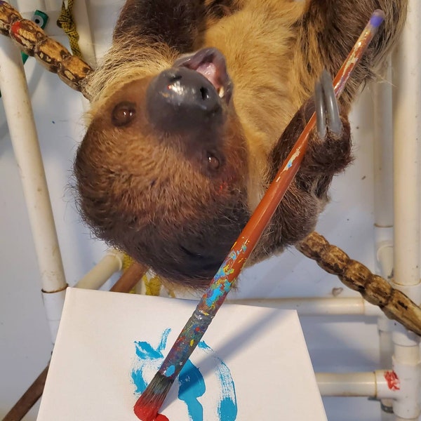 Sloth paintings