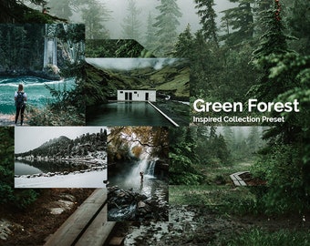 Green Forest Preset Lightroom Mobile Desktop Inspired Filter brown light Moody Clean Grainy Tone wood