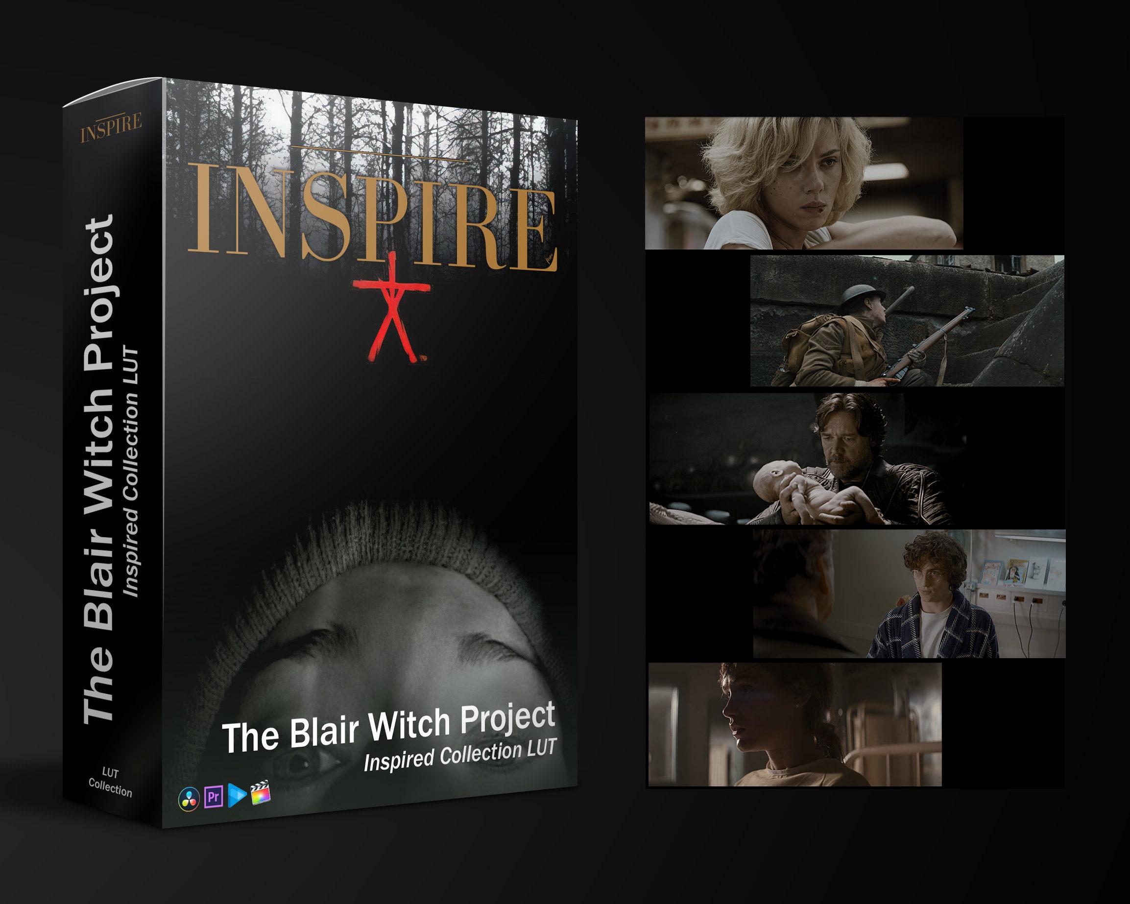 The Blair Witch Project Inspired Preset LUT Film Look Cinematic ProRes C-Log V-Log S-Log REDLOG BMDFilm FilmBMD Resolve Premiere