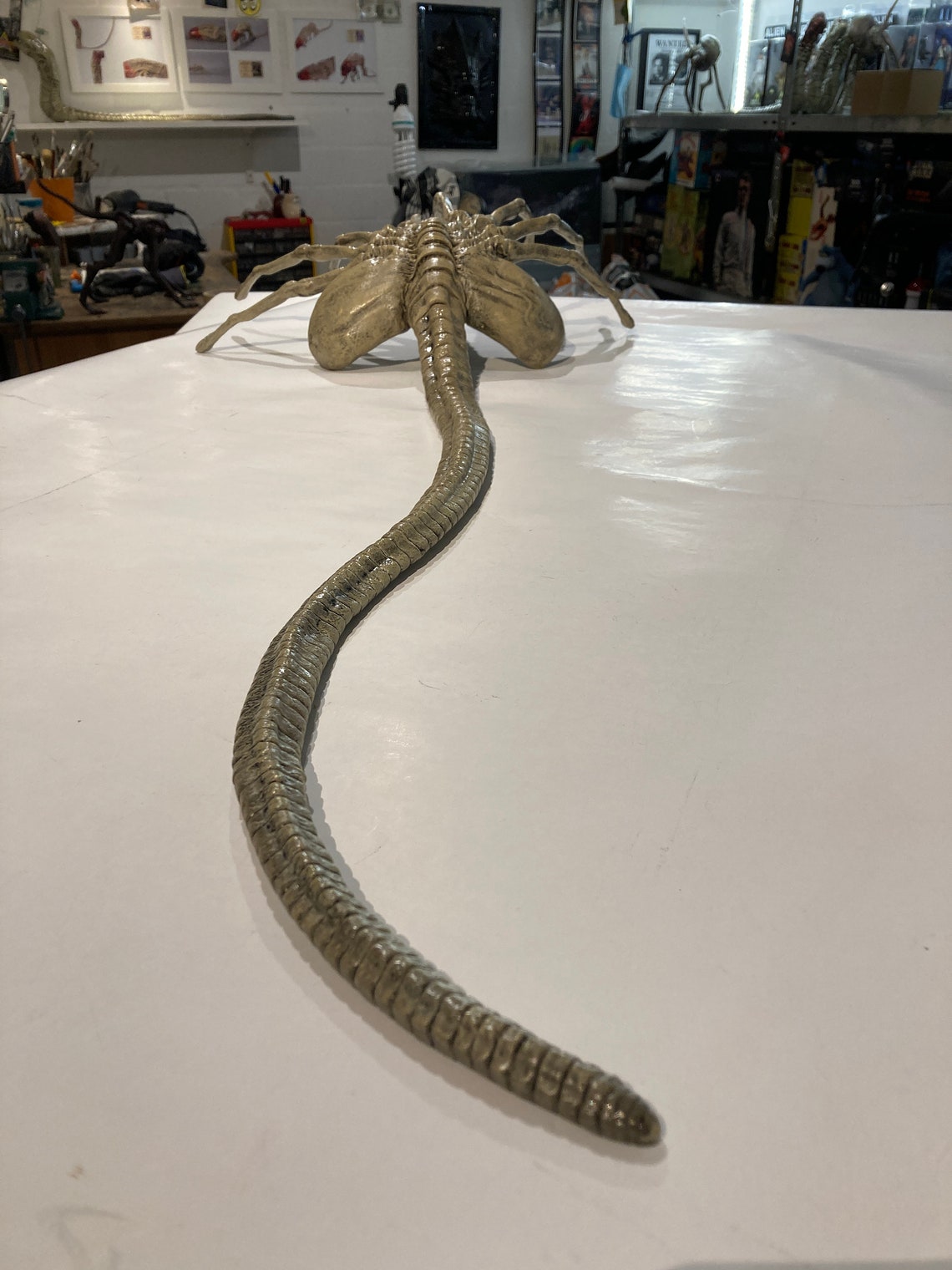 Alien Facehugger Lifesize 1/1 45 Movie Prop finished Etsy