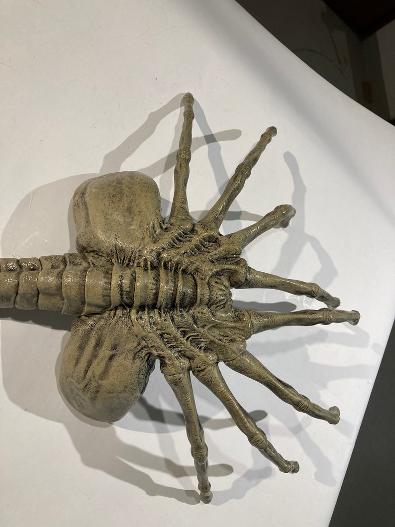 Alien Facehugger Lifesize 1/1 45 Movie Prop finished Etsy