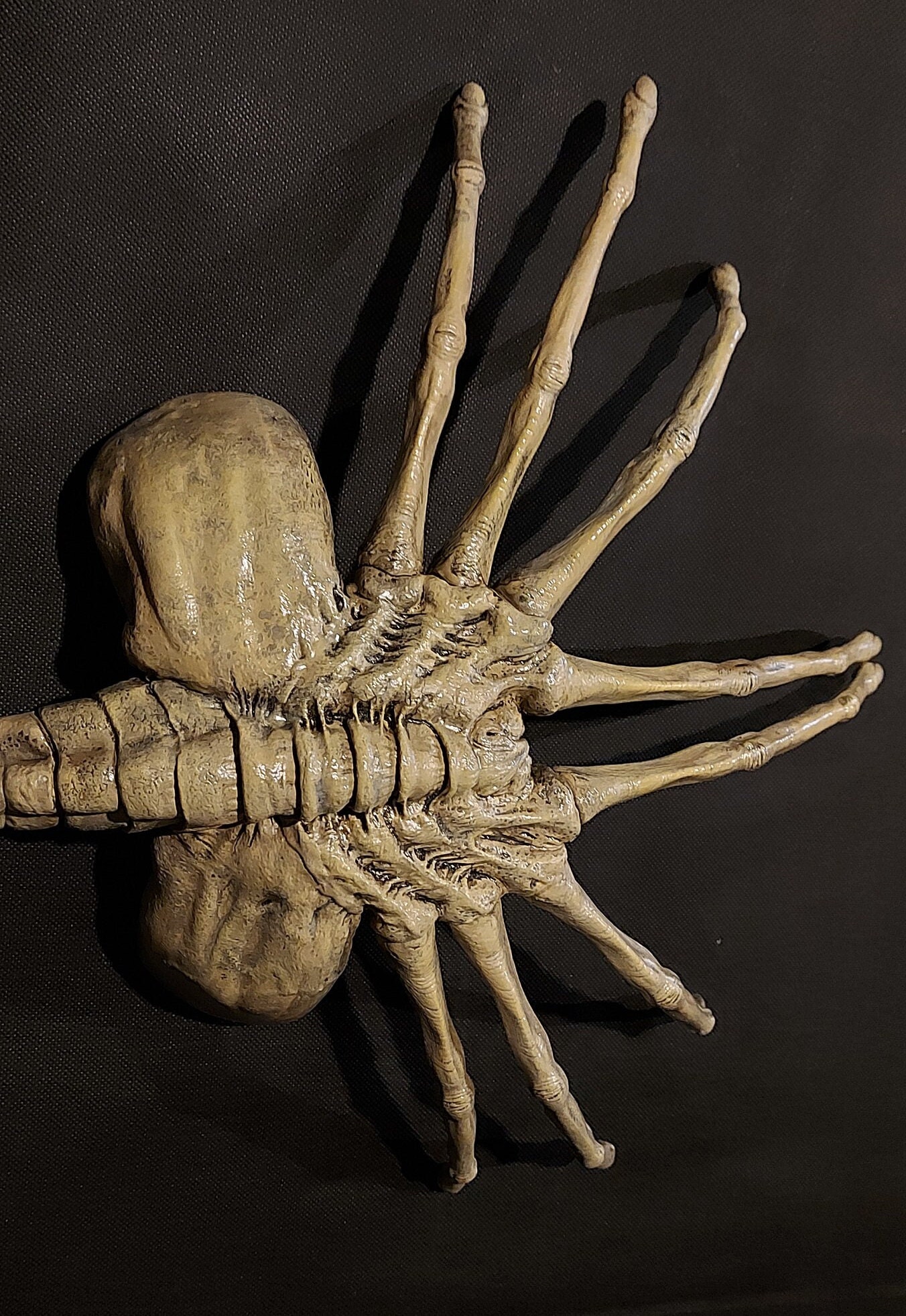 Facehugger Meme