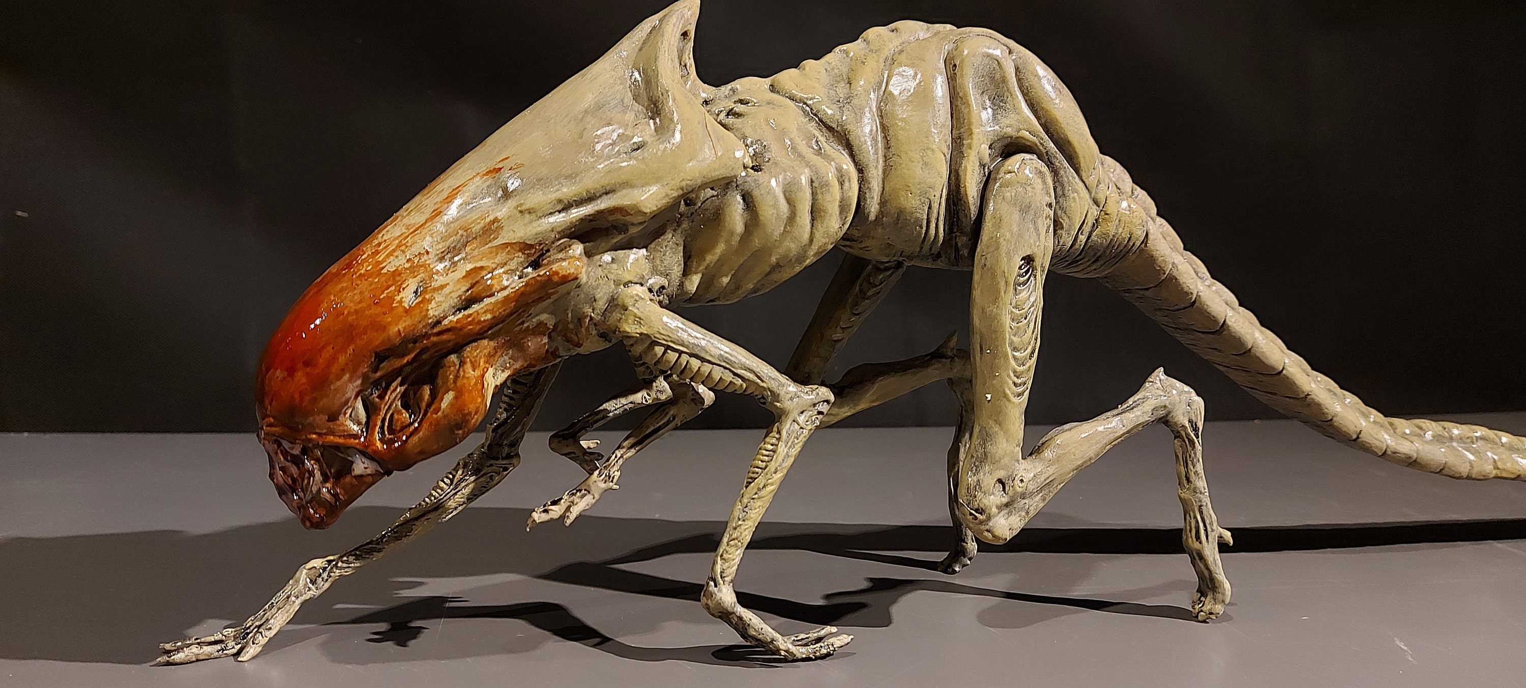 Aliens Queen Chestburster -bloody Version- Replica 1/1 Life-size Finished  Model - Etsy, image size:3000x1352