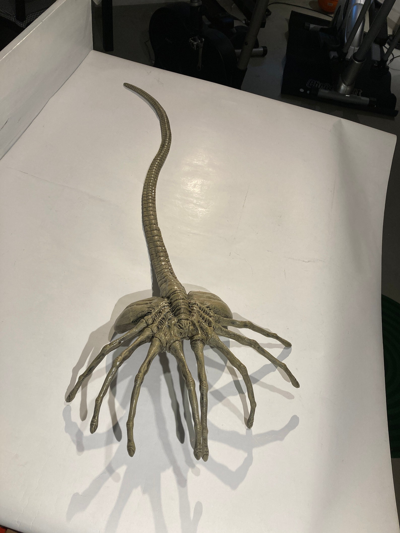 Alien Facehugger Lifesize 1/1 45 Movie Prop finished Etsy
