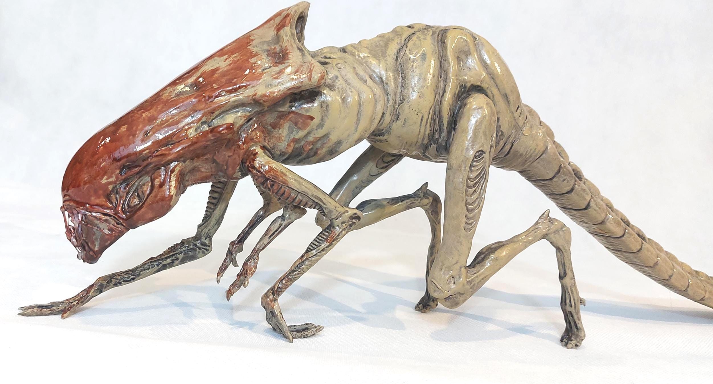 Aliens réplique 1/1 mousse Xenomorph Egg & Latex Facehugger 91 cm - La