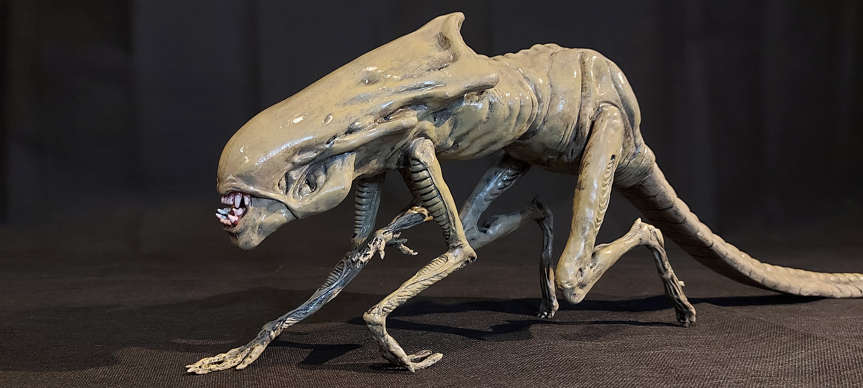 Aliens Queen Chestburster Finished Movie Replica 1/1 Lifesize 40\, image size:3000x1352