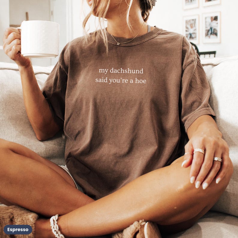 Funny Dachshund Shirt, Wiener Dog Shirt, Doxie Tee, Sausage Dog Gift, Dog Lover Shirt, Wiener Dog Clothing, My Dachshund Said Youre a Hoe immagine 2