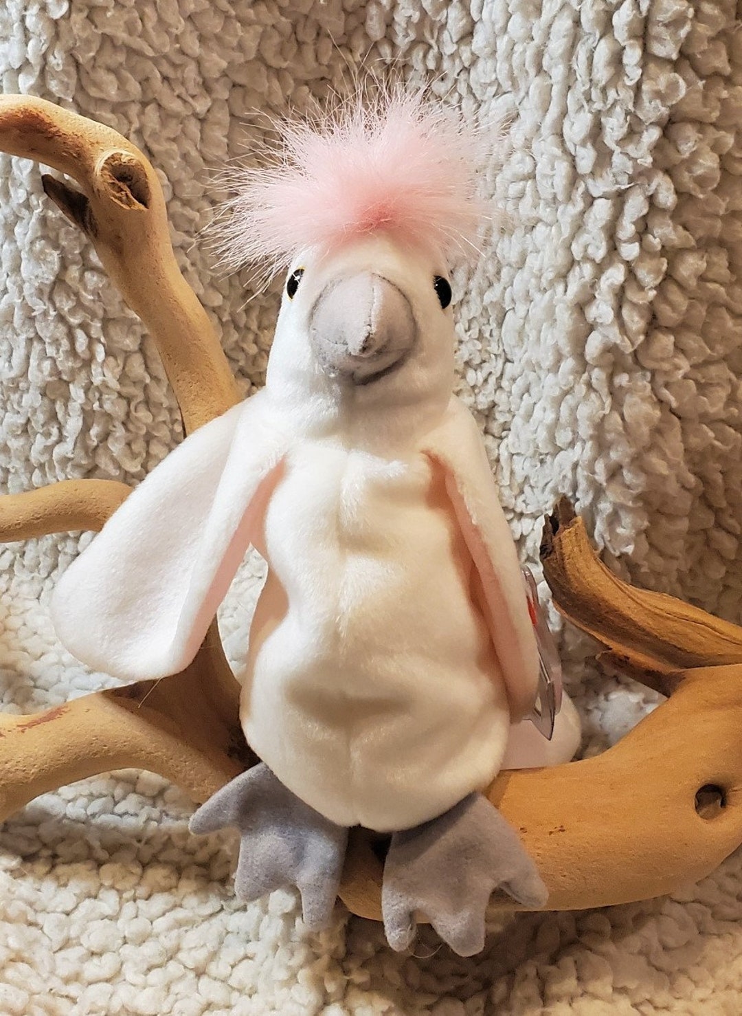 1997 Kuku the Cockatoo Bird Ty Beanie Babies Etsy