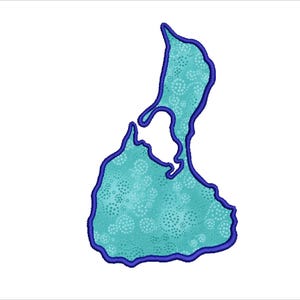 Fichiers de conception de broderie machine en applique de carte de Block Island