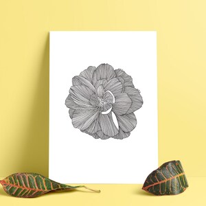Flowering Poster - Drawing Decoration - A5 Printing Limited Edition - Only wild
