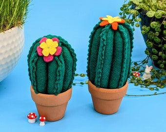 Cactus Pin Cushion, épingles à coudre, coussin à épingles, succulentes, succulentes, fausse plante, fausse succulente, ami éternel, cactus, feutre, terre cuite